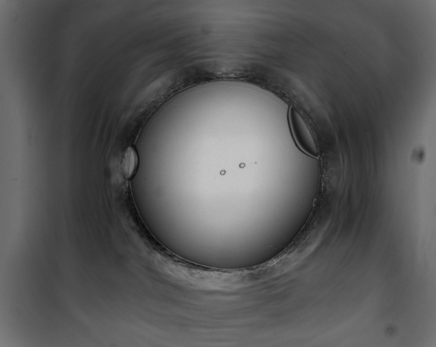 X0000101430044200807141252