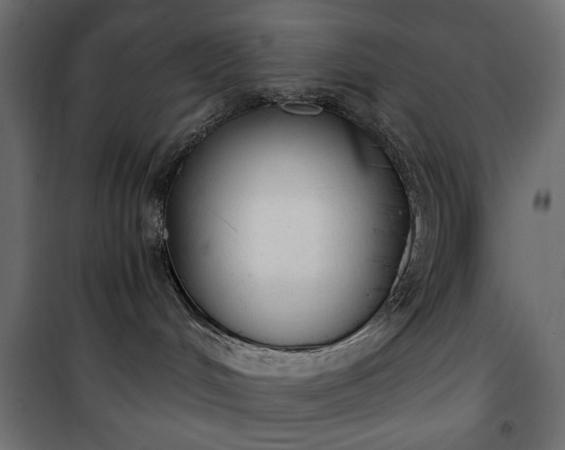 X0000101430048200807141252