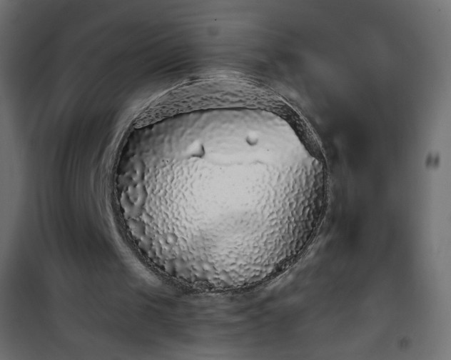 X0000101430049200807141251