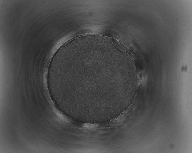 X0000101430051200807141251