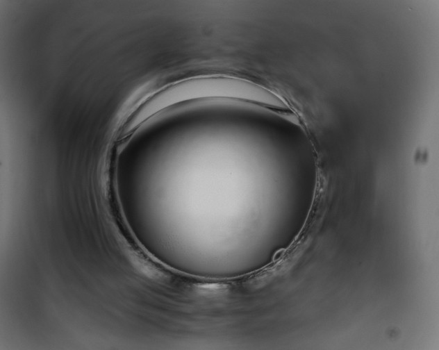 X0000101430053200807141251