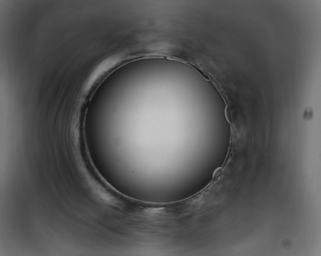 X0000101430054200807141251