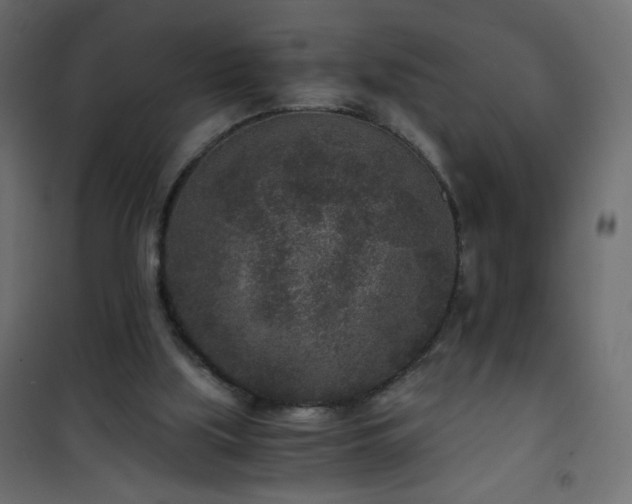 X0000101430059200807141252