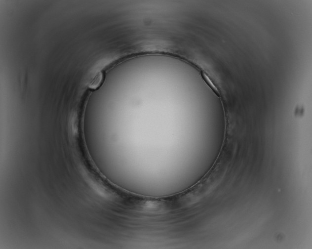 X0000101430060200807141252