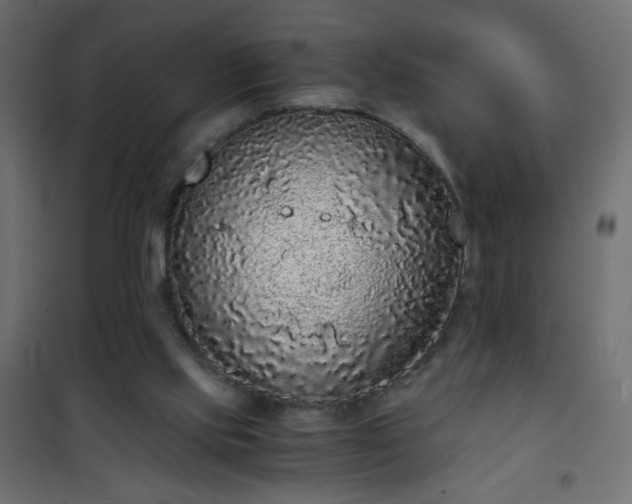 X0000101430061200807141252