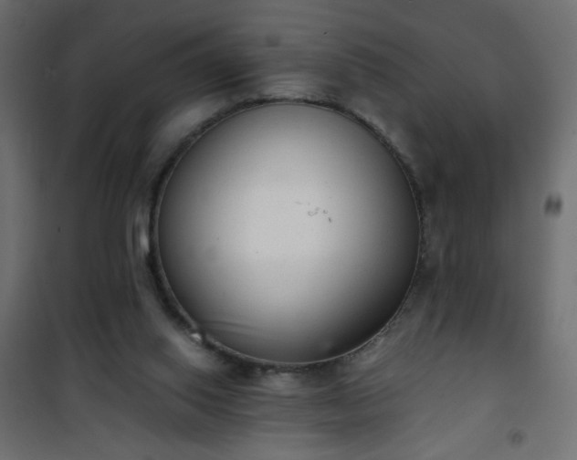 X0000101430062200807141252