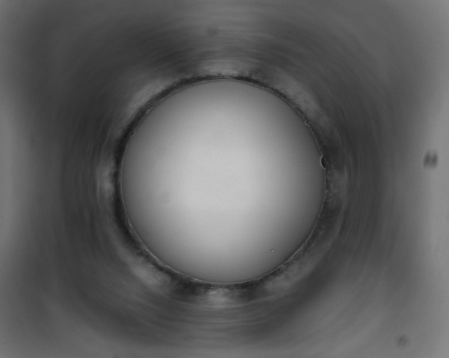 X0000101430064200807141252