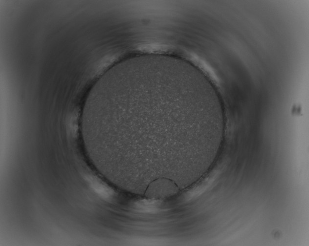 X0000101430065200807141252