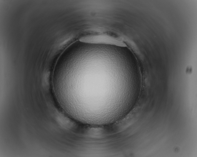 X0000101430066200807141252