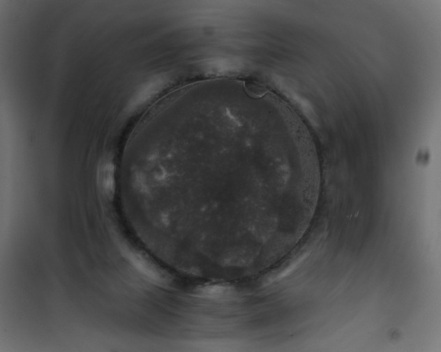 X0000101430067200807141252