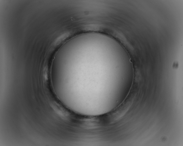 X0000101430068200807141252