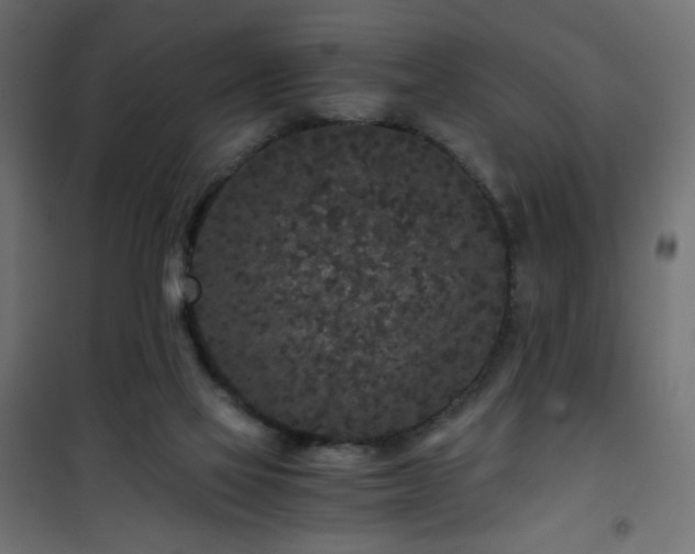 X0000101430069200807141252