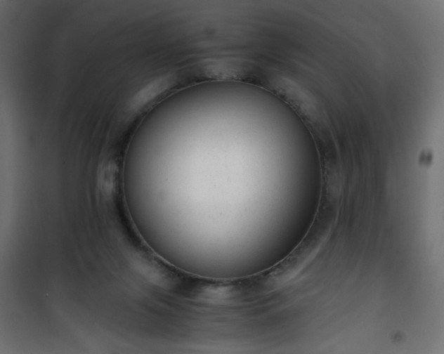 X0000101430071200807141252