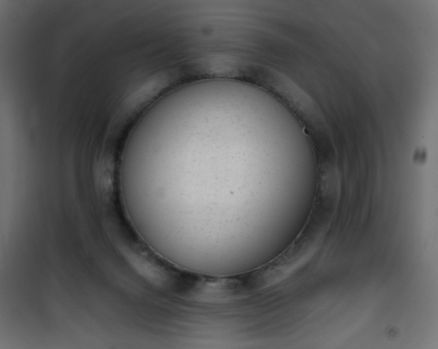 X0000101430072200807141252