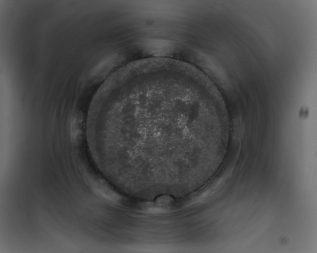 X0000101430073200807141252