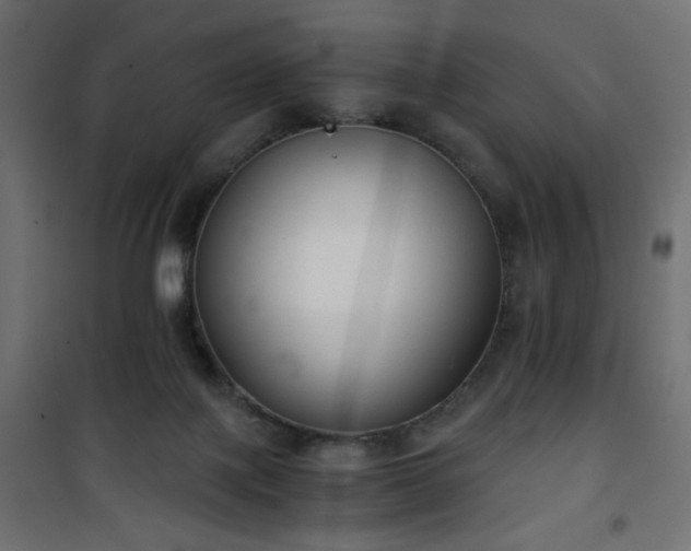 X0000101430075200807141252