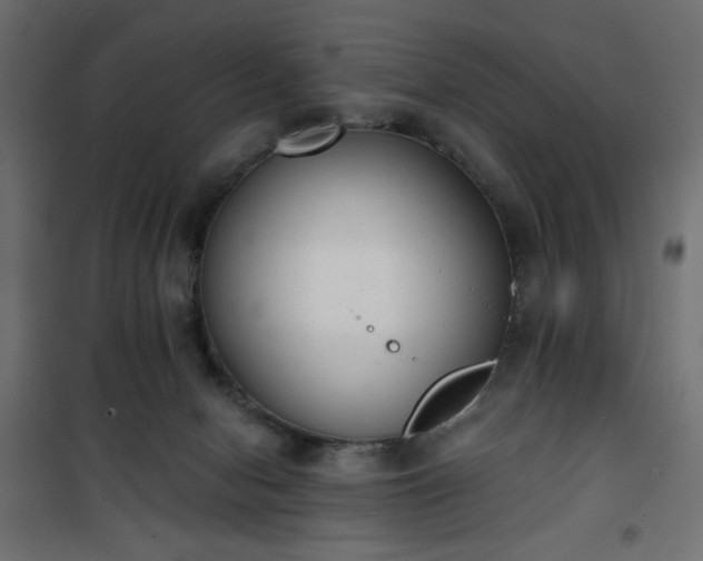 X0000101430078200807141252