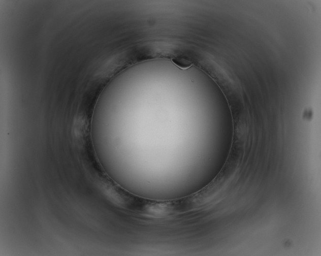 X0000101430079200807141252