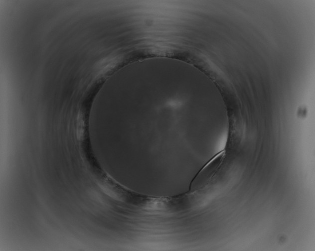 X0000101430080200807141252