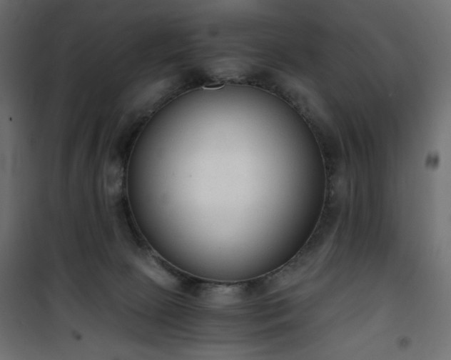 X0000101430081200807141252