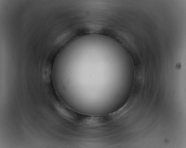 X0000101430082200807141252