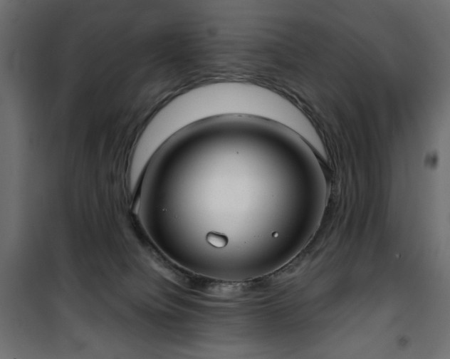 X0000101430084200807141252