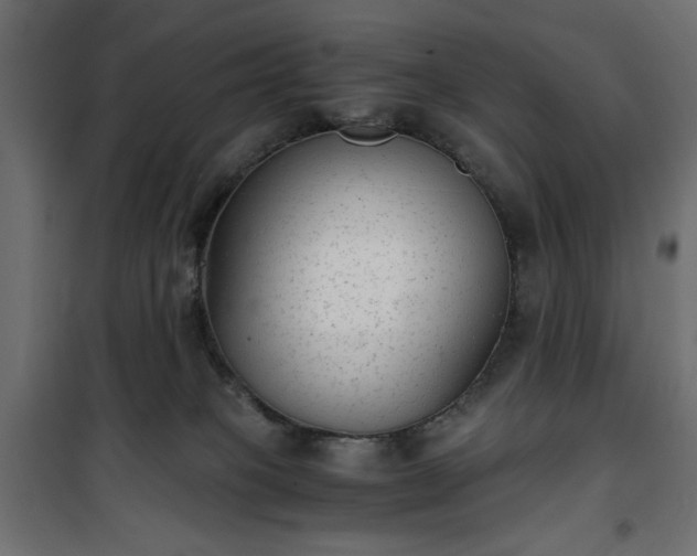 X0000101430085200807141252