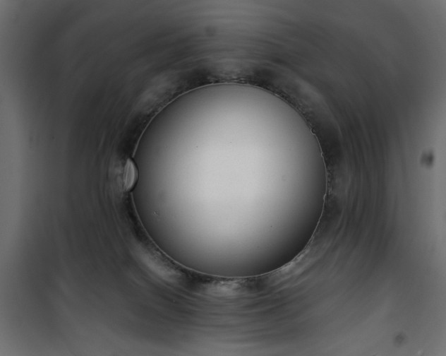 X0000101430086200807141252