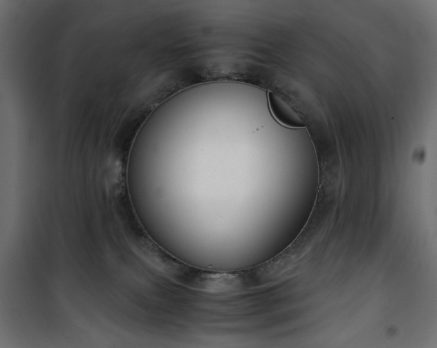 X0000101430087200807141252