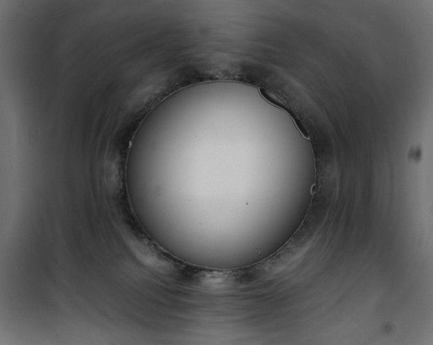 X0000101430088200807141252