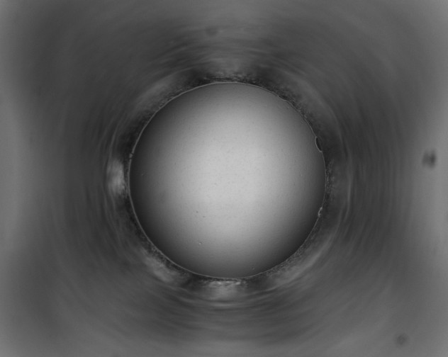 X0000101430089200807141252