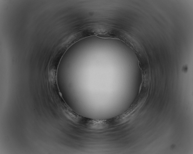 X0000101430093200807141252