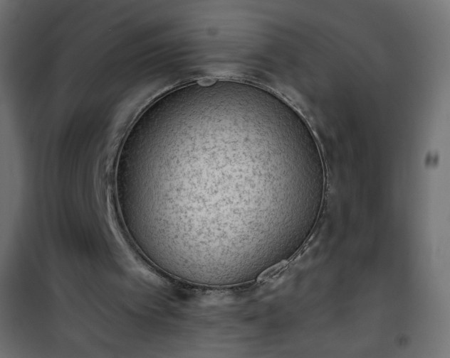 X0000101430097200807141251