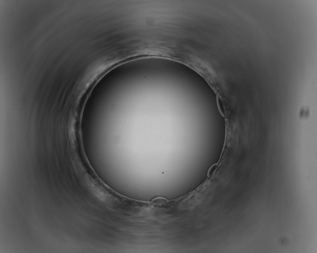 X0000101430098200807141251