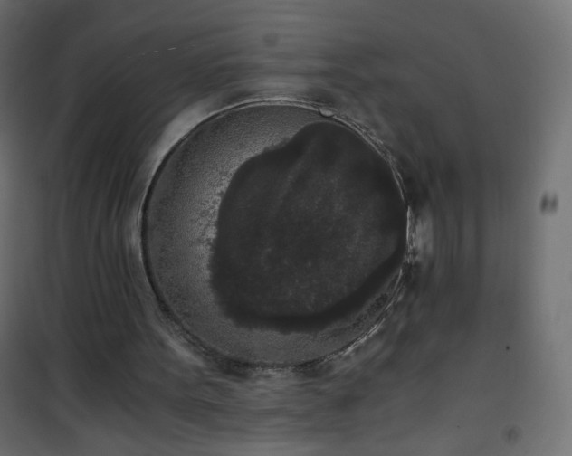 X0000101430099200807141251