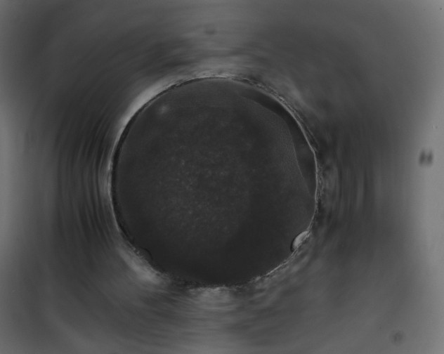 X0000101430100200807141251