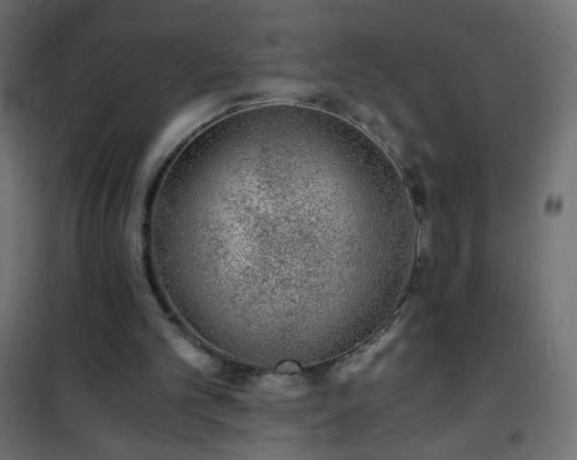 X0000101430101200807141251