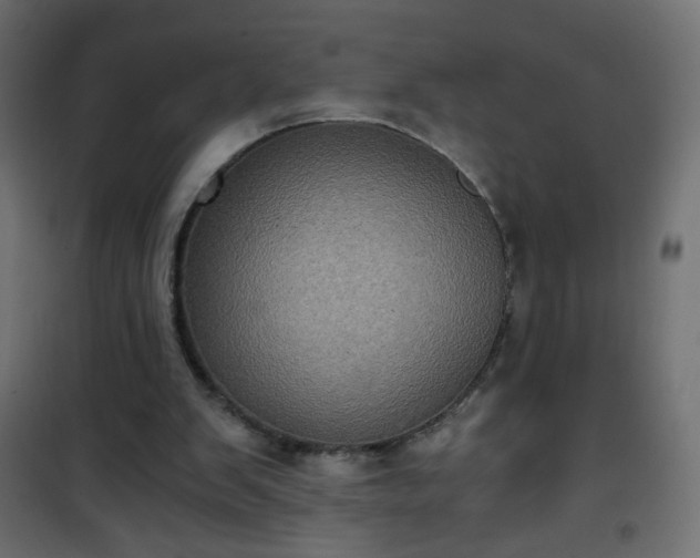 X0000101430103200807141251