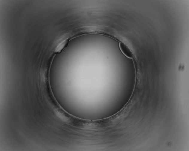 X0000101430105200807141251