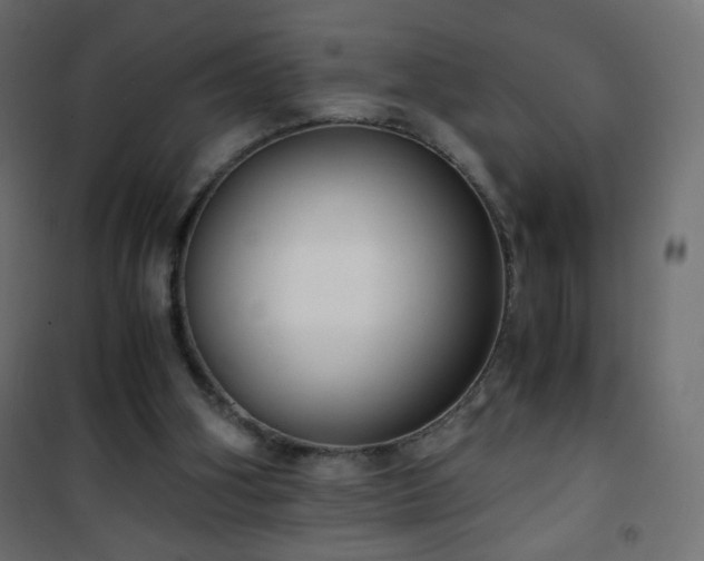 X0000101430106200807141251