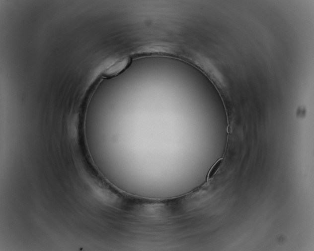 X0000101430108200807141251