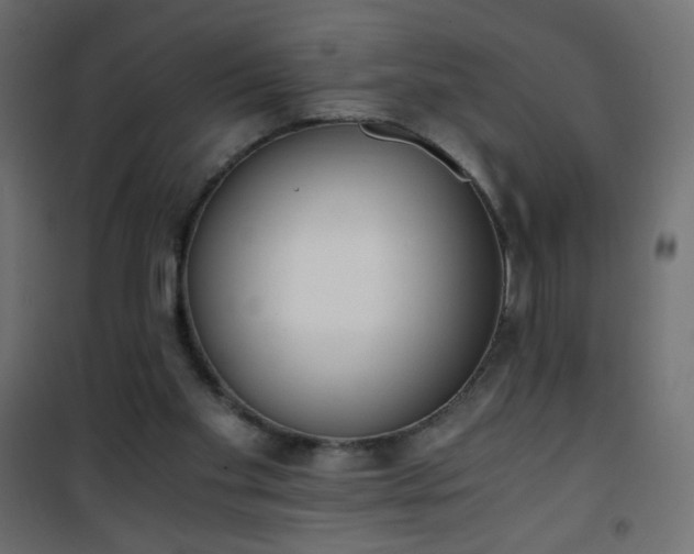 X0000101430109200807141251