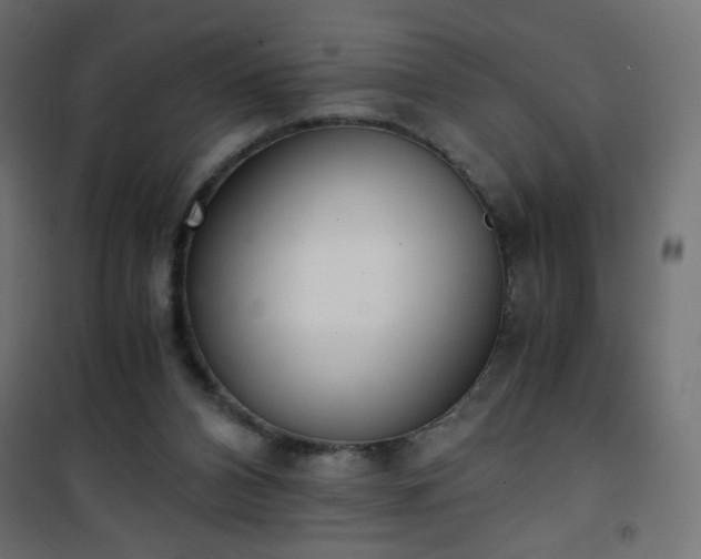 X0000101430112200807141251