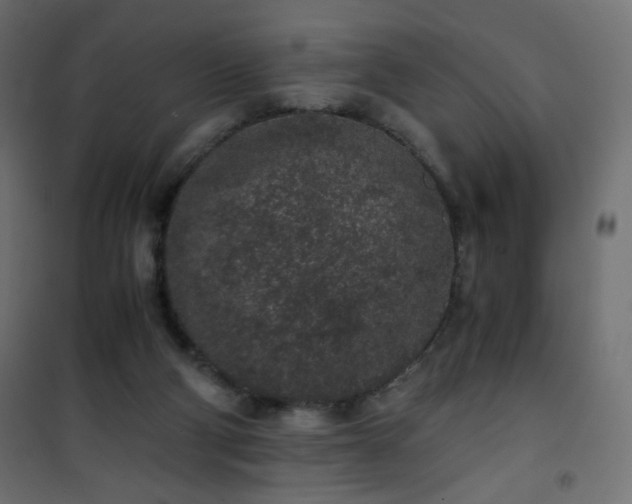 X0000101430114200807141251