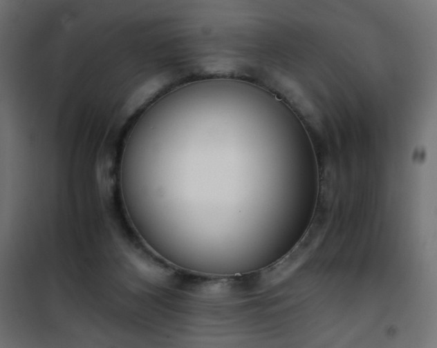 X0000101430116200807141251