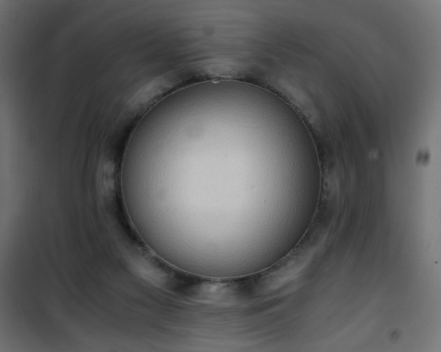 X0000101430117200807141251