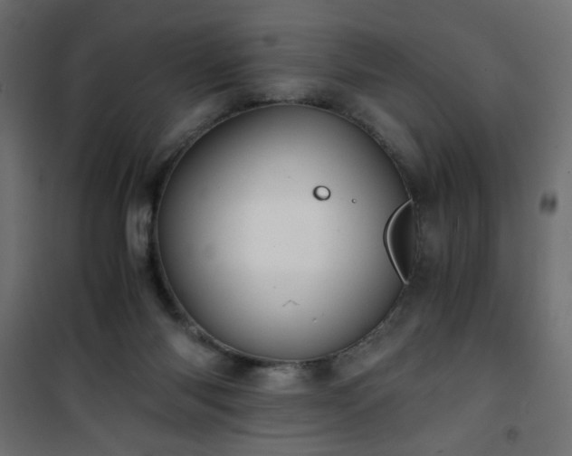 X0000101430118200807141251