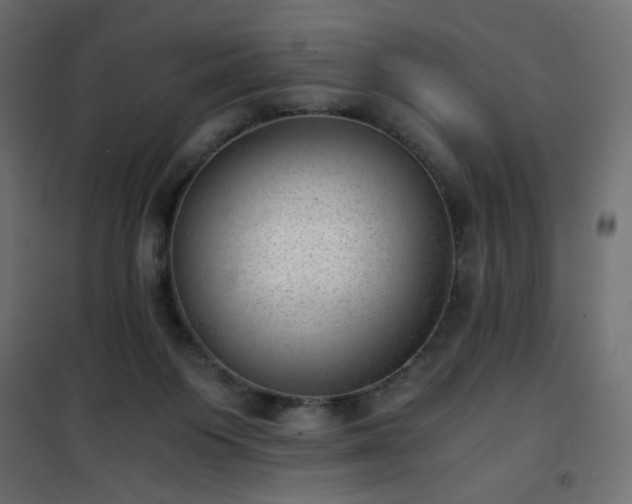 X0000101430119200807141251