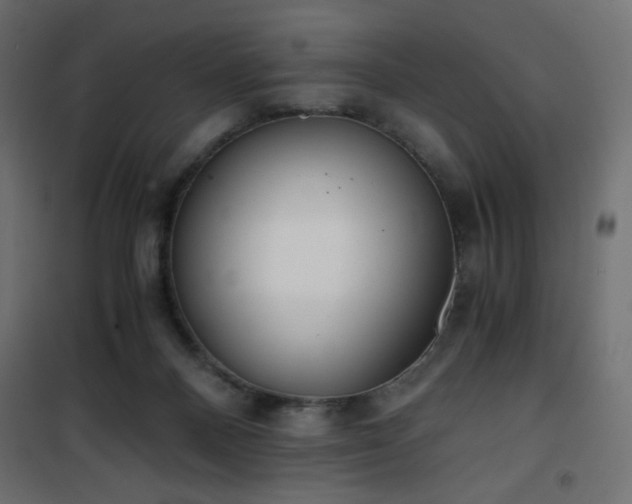 X0000101430120200807141251