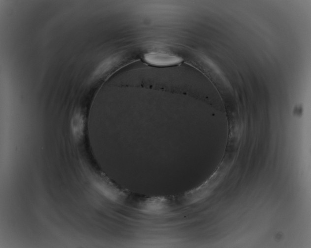 X0000101430124200807141251